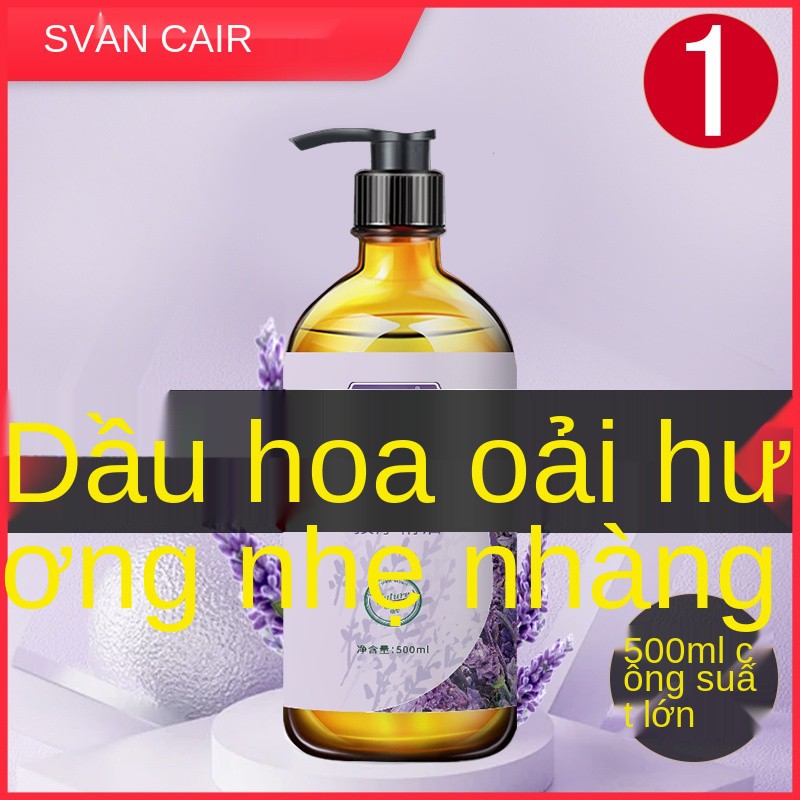 Tinh dầu massage Oải hương giúp đả thông kinh mạch, xông mặt và toàn thân, đẩy dầu, lưng, lạc, thẩm mỹ viện nói chu