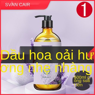 Tinh dầu massage oải hương, đả thông kinh mạch, xông mặt, toàn thân, xông tinh dầu, thông lưng, thông kinh lạc.