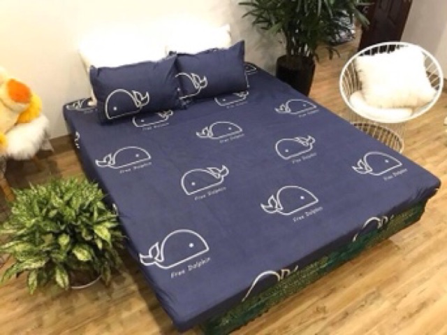 Bộ drap 3 món ga chun +2 vỏ gối đầu