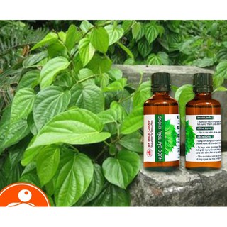 Nước Cất Lá Trầu Không