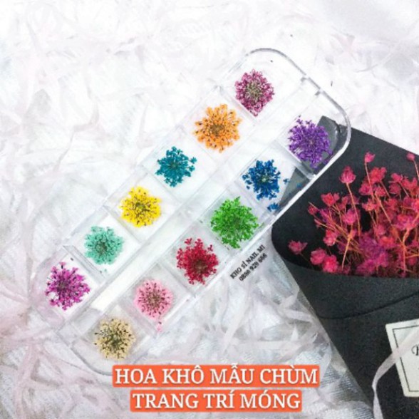 Hoa khô trang trí móng tay - Set 12 màu hoa chùm đắp gel ẩn phong cách Hàn Nhật A897