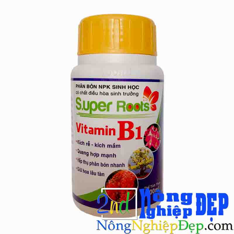 Super Roots vitamin B1 | Giữ Hoa lâu Tàn | kích Rễ,Kích mầm