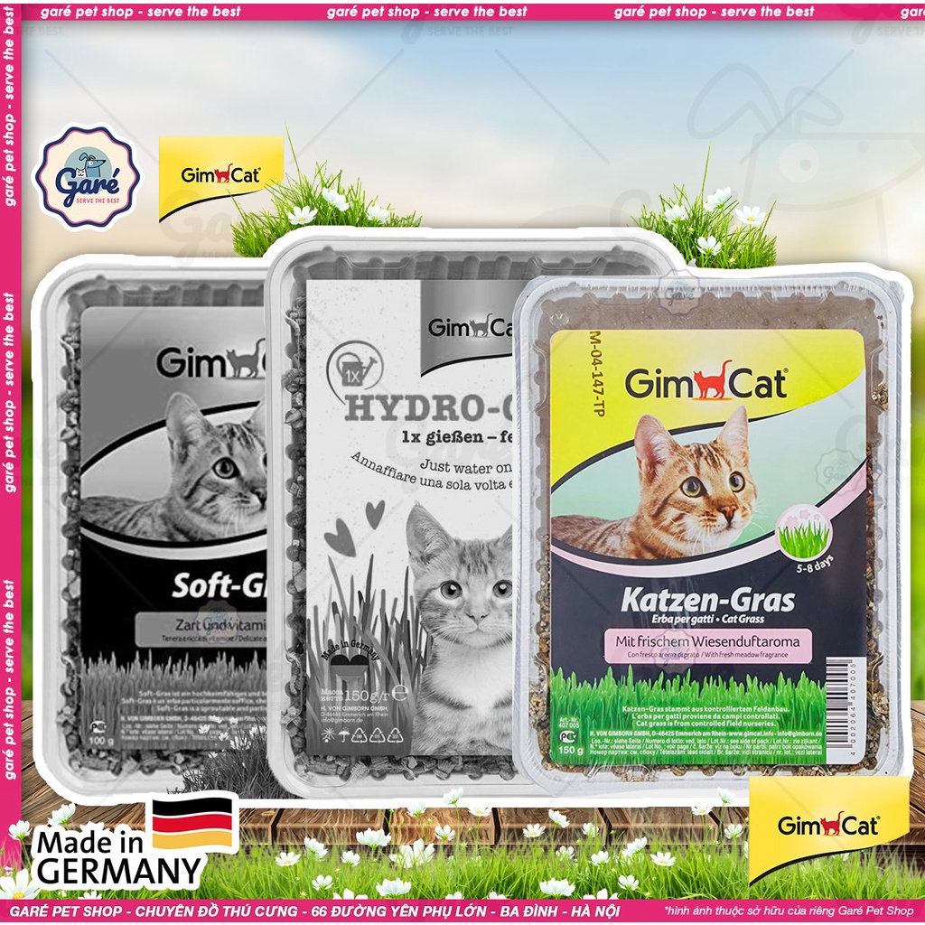 Bộ trồng cỏ mèo Gimcat Hydro-Gras, Soft-Gras, Katzen-Gras siêu dễ trồng không dùng đất - Gimcat Hydro-Gras