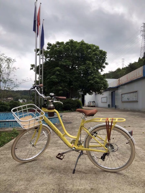 Xe đạp momentum 2019