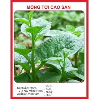 Hạt Giống Tốt Rau Mồng Tơi