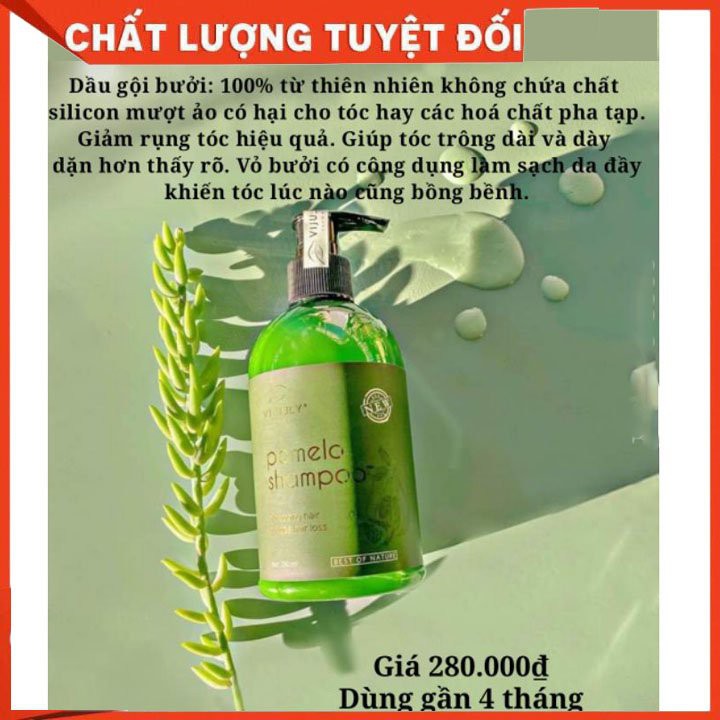 Dầu Gội Bưởi Vijully [Tặng Qùa Xinh] Giảm Rụng Tóc, Làm Tóc Chắc Khỏe,Giảm ngứa da đầu | BigBuy360 - bigbuy360.vn