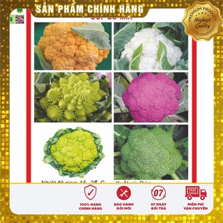 Hạt Giống Súp Lơ Mix 10 Hạt
