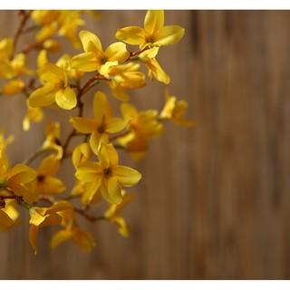 Cành Mai Mỹ-hoa lụa trang trí cao 90cm