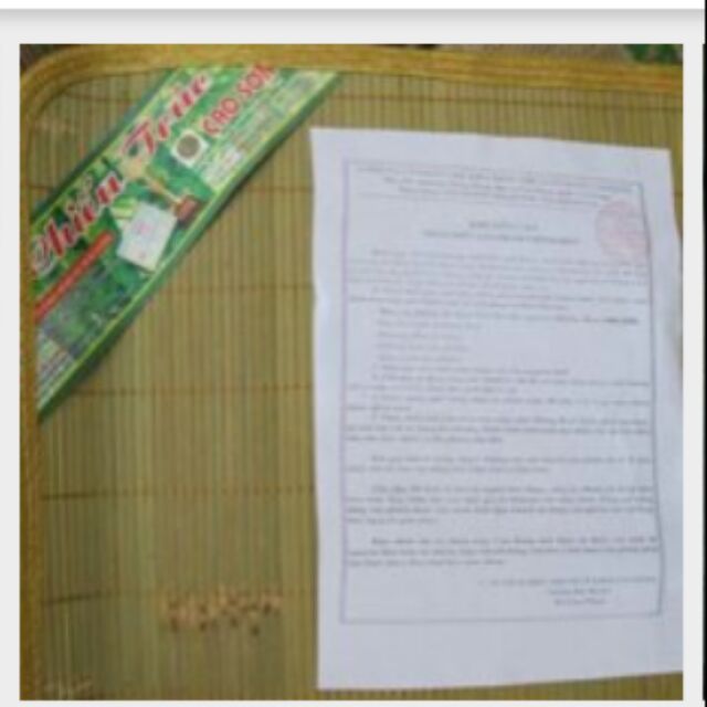 Chiếu trúc Cao Bằng