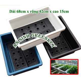 Khay trồng rau sạch thông minh (chậu nhựa trồng rau sạch thông minh)