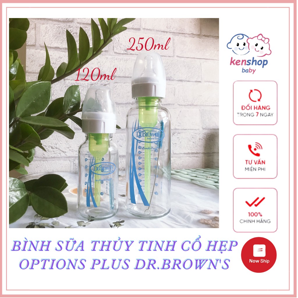 Bình sữa thủy tinh cổ hẹp option plus DrBrowns 120ml//250ml