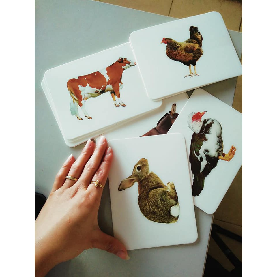 Bộ thẻ học thông minh tặng Kids Up cho bé