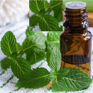 Tinh dầu bạc hà tự nhiên lọ 10ml
