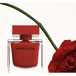Narciso Rouge đỏ lùn