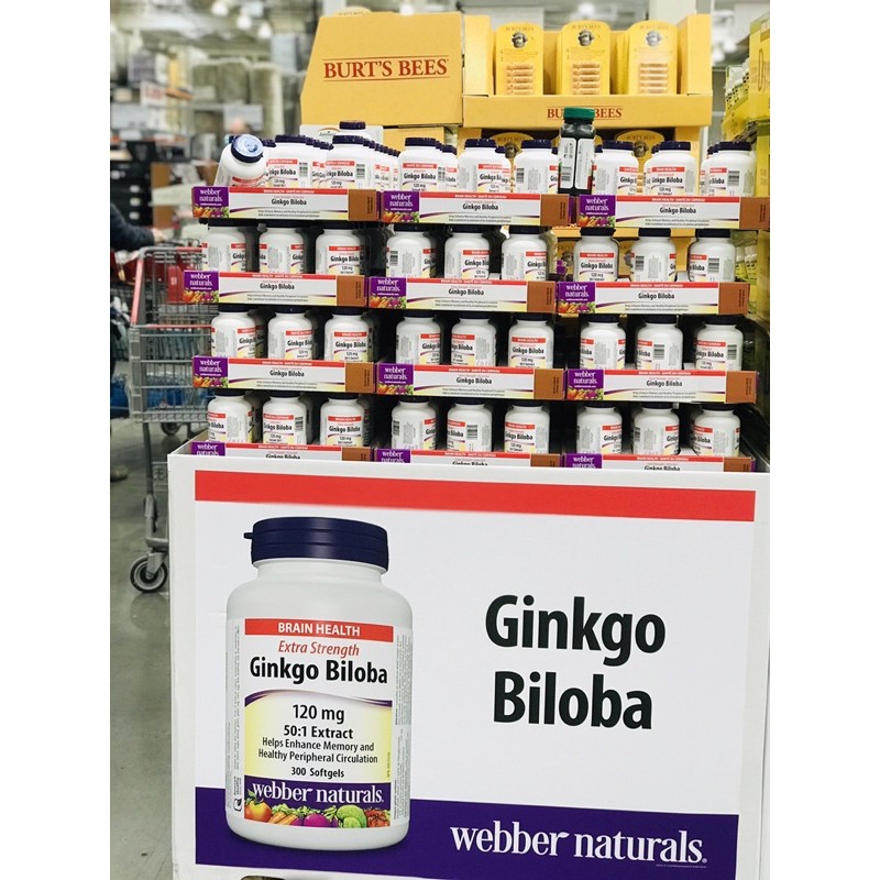 Viên uống hỗ trợ não bộ Webber Naturals Ginkgo Biloba 120MG 300 viên