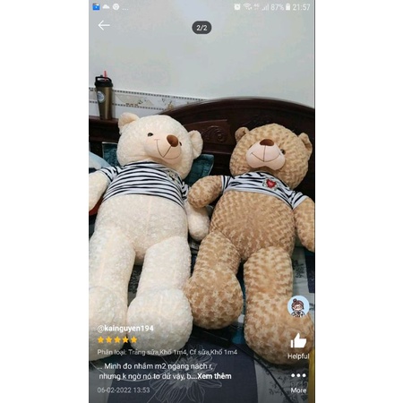 Gấu teddy khổ 1m2 cao 1m