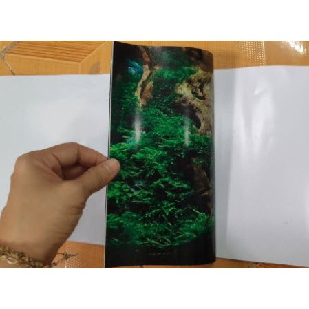 Tranh phông nền dán hồ cá Aquarium tank - 041