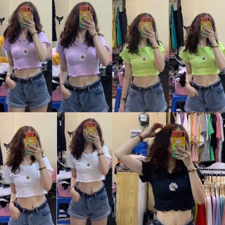 ÁO CROPTOP THÊU HOA CÚC