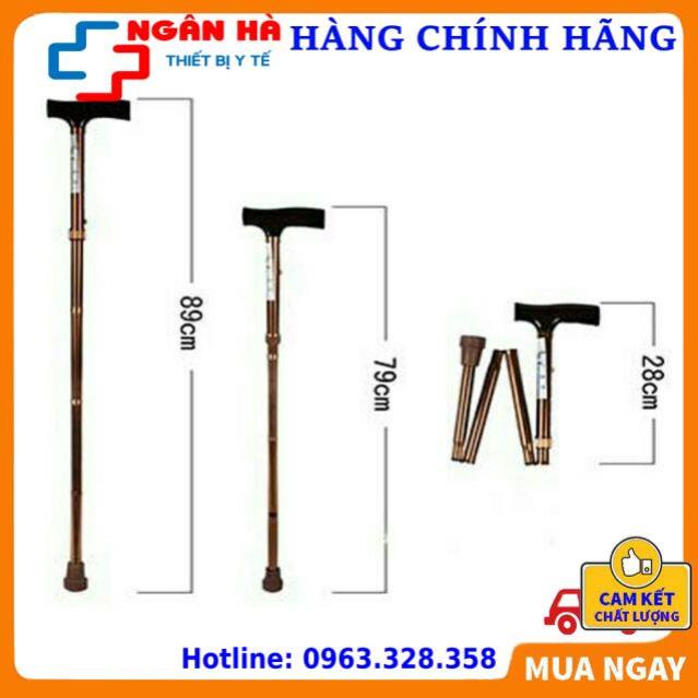 Gậy Cho Người Già, Batoong , Gậy Chống 4 Khúc Gấp Gọn-[Thiết bị y tế]
