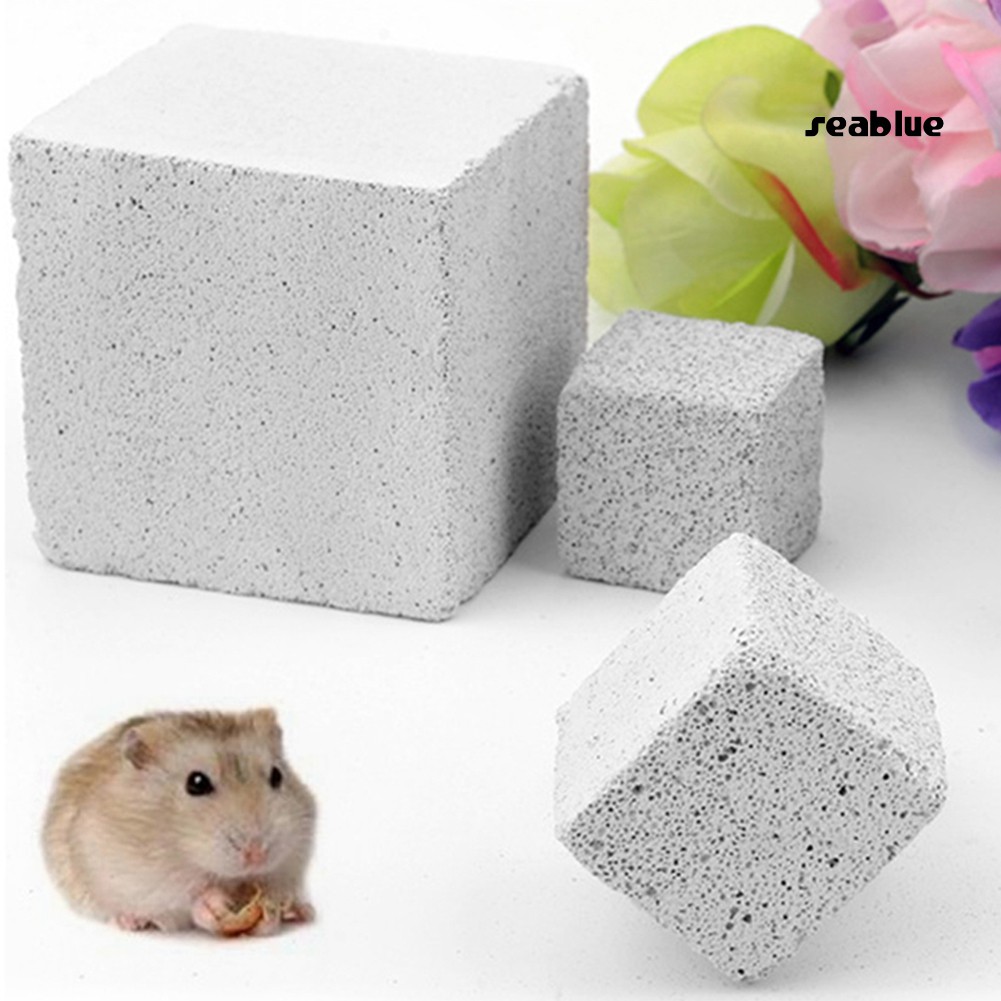 Đồ Chơi Khối Đá Mài Răng Nhiều Kích Thước Cho Chuột Hamster