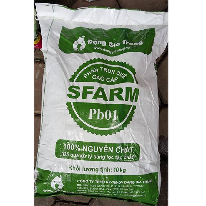( SIÊU RẺ ) Hạt giống lá vừng- lá mè Hàn Quốc gói 0.5 gram xuất xứ Hàn Quốc