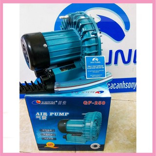 Máy sủi khí oxy Resun GF250 (máy sủi cánh quạt chuyên dụng cho bể hải sản)