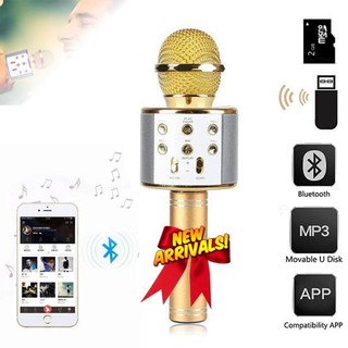 Bộ MICRO KARAOKE WS-858
