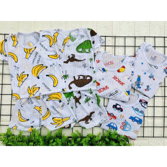 Combo 5 bộ ct giấy