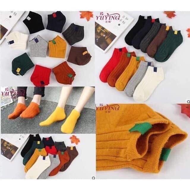 Set 10 đôi tất gân sắc màu