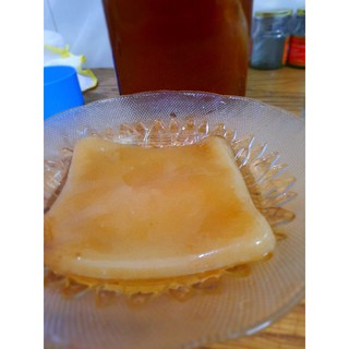Trà Kombucha / Scoby + nước mồi làm trà Kombucha dễ dàng thực hiện