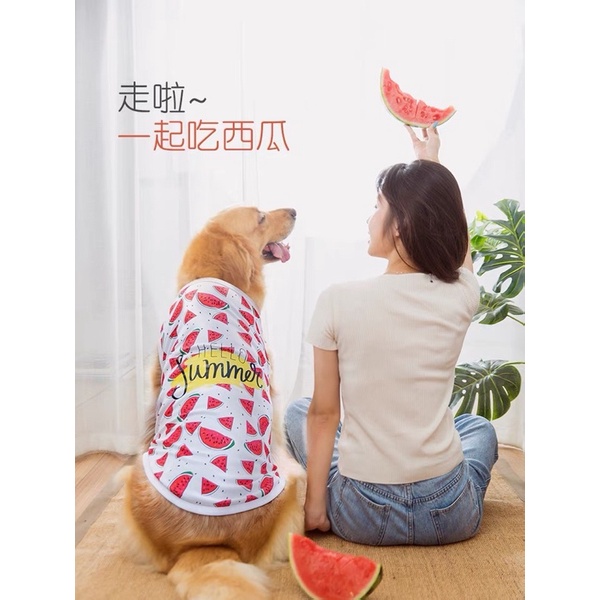áo ba lỗ dưa hấu mùa hè cho chó giống lớn