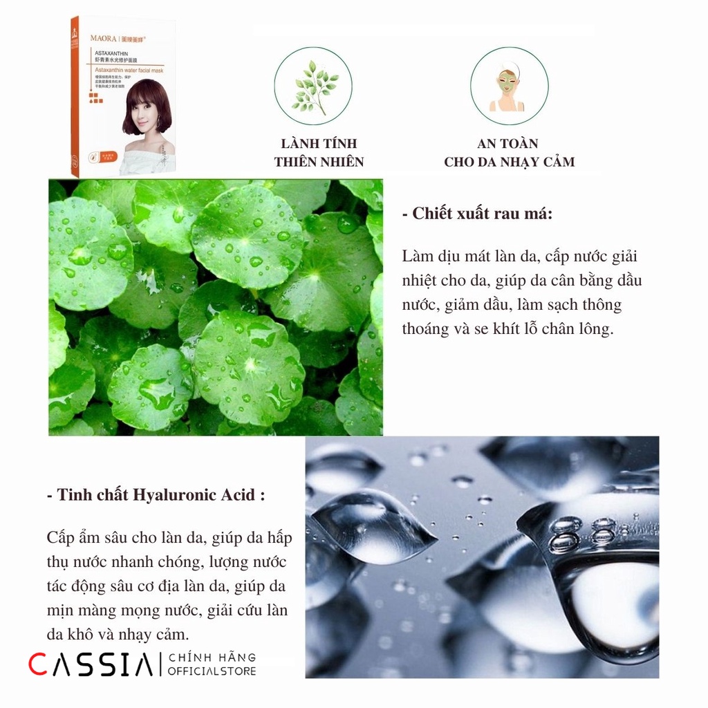 Mặt Nạ Cấp Nước Dưỡng Ẩm Rau Má, Mặt Nạ Dưỡng Trắng, Se Khít Lỗ Chân Lông, Tái Tạo Trẻ Hóa da, Nội Địa Trung MAORA | BigBuy360 - bigbuy360.vn
