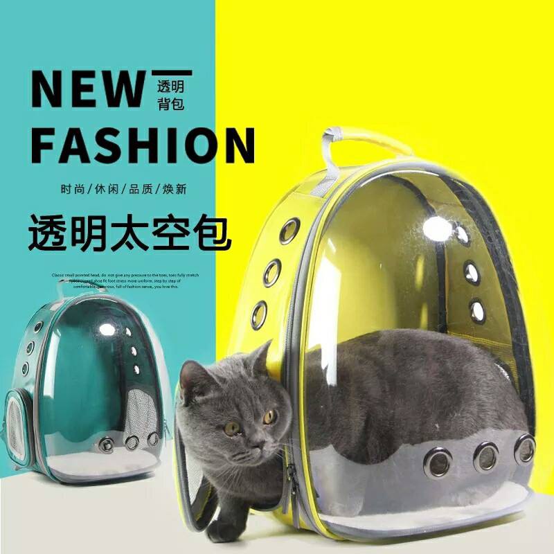 Balo trong suốt dành cho chó mèo
