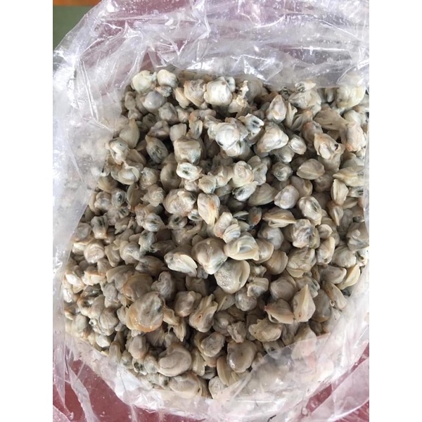 ruột Hến Huế thơm ngon; ngọt béo h500gr