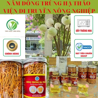 Đông trùng hạ thảo sấy thăng hoa,loại thượng hạng Viện di truyền nông nghiệp Việt Nam