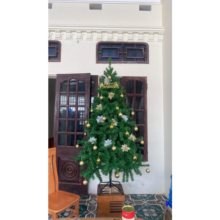 Cây Thông Noel Cao 1m80, Tán Dày, Rộng