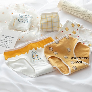 Quần lót nữ cotton hình thỏ ngang eo .