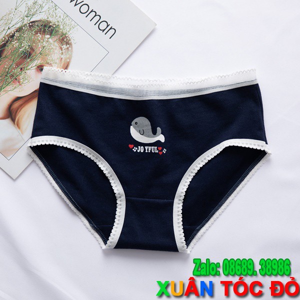 [Mã WASTDEP giảm 5K đơn bất kì] SỈ ZALO RẺ HƠN NHIỀU_ Quần Lót 5 Kiểu Cá Heo Cute N013 | BigBuy360 - bigbuy360.vn