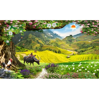 Tranh dán tường 3D phong cảnh làng quê - ruộng bậc thang