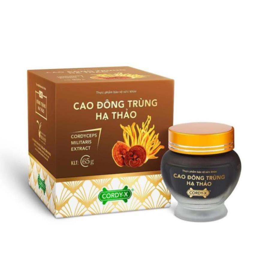 Cao Đông Trùng Hạ Thảo CORDY-X