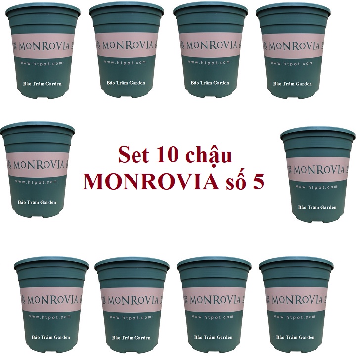 Set 10 chậu nhựa trồng cây Monrovia cỡ số 5 xuất xứ Trung Quốc