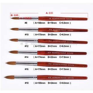 Cọ đắp bột lông chồn DC Kolinsky số 12 số 14 số 16