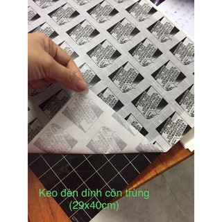 Keo dính côn trùng