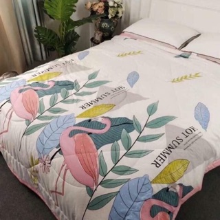 Chăn hè zara home