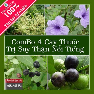 COMBO 4 Cây Thuốc Trị Suy thận, Thận Hư Hiệu Qủa - 4KG SP Nam Dược Nguyễn Thi
