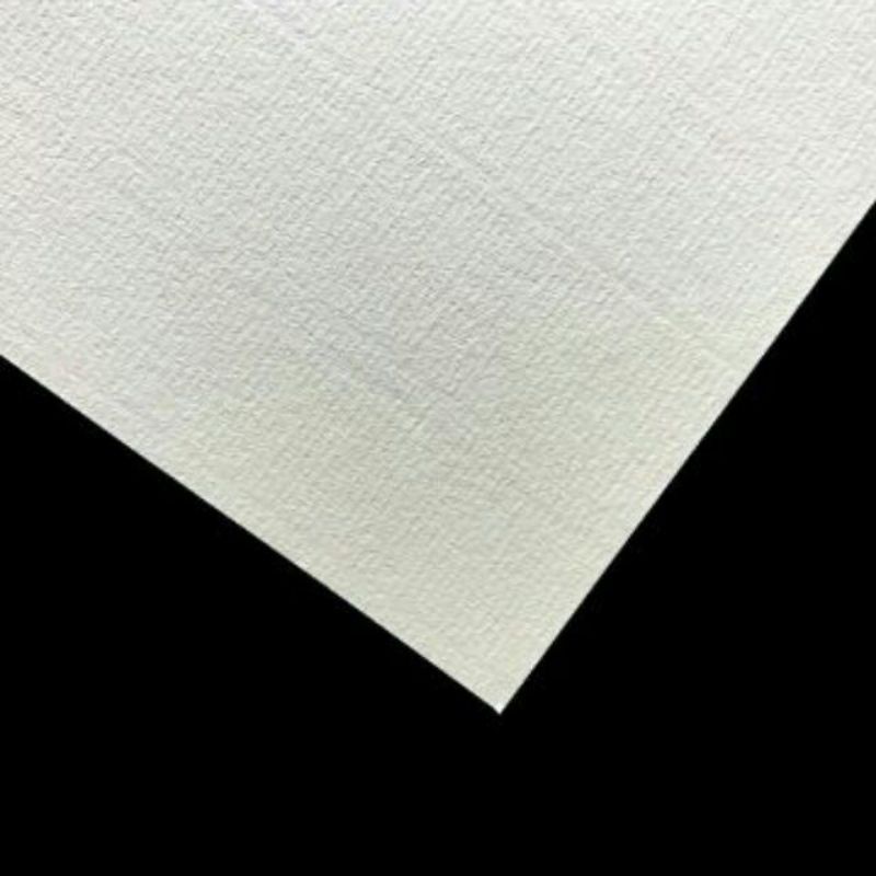 Combo 5/8/10 tờ Canson a0 250g
