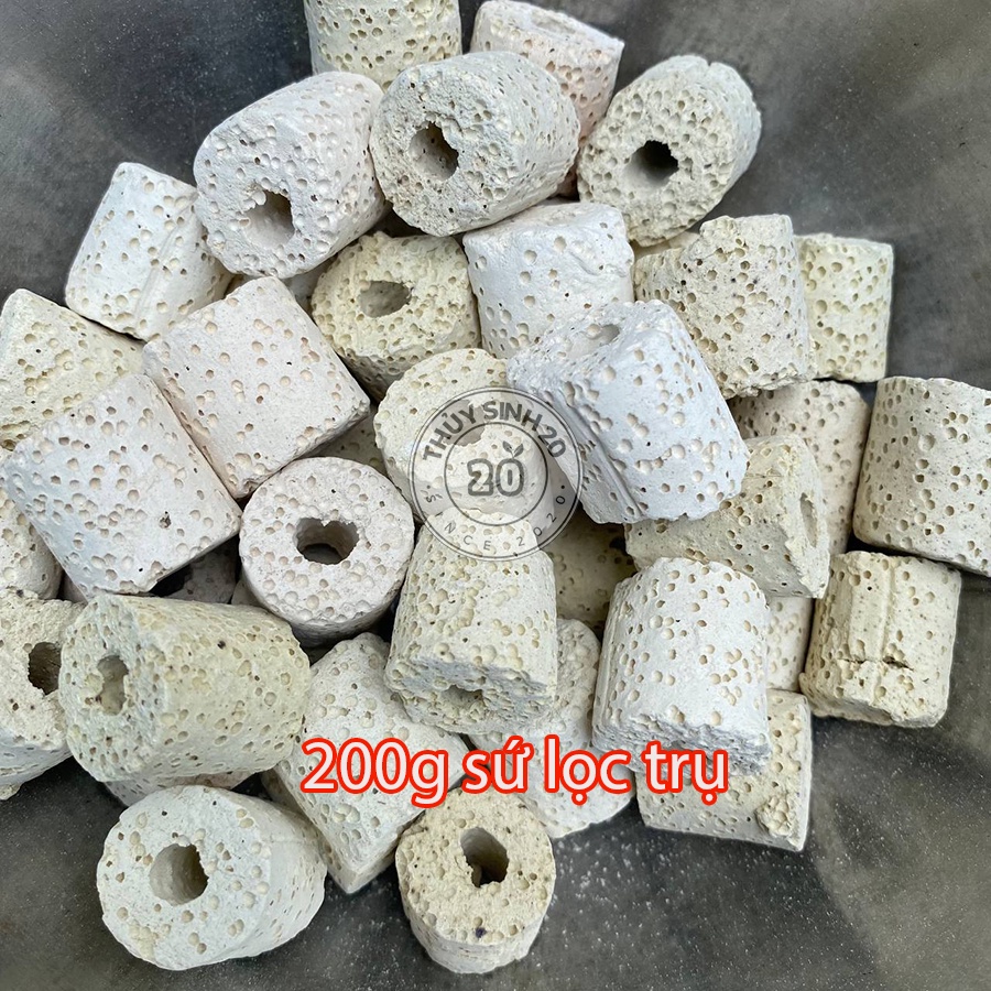 Tổng Hợp Sứ Lọc hồ cá thủy sinh giúp nước ổn định