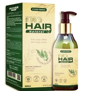 Dầu gội Tinh chất Tràm Trà Pro Hair sạch gàu hết ngứa ngăn rụng tóc 90%