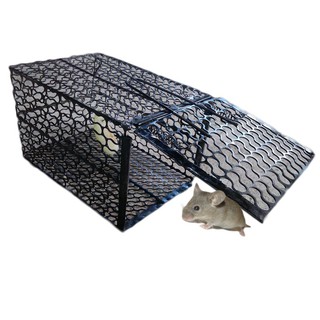 Bẫy chuột lồng SẴN HÀNG