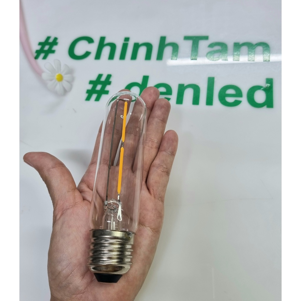 Bóng đèn led Edison T125 2W 220Vac